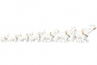Фигурка декоративная 7 предмета "Семь слонов - Хранители дома" белая, золото