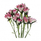 Цветок искусственный "Гвоздика кустовая", L19 W12 H60 см