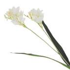 Цветок искусственный "Фрезия", L13 W13 H63 см