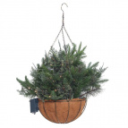 Кашпо хвойное с подсветкой, 50 LED ламп, 173 в., работает от батареек 3*АА