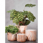 585107 Кашпо керам. Kübel LINO d18 h17 см теплый мрамор (ш/к 4884)