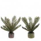 Цветочная композиция "Пальма", L37 W33 H45 см, 2в.