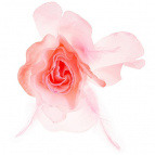 Роза крупная розовая с перьями (упаковка из 12шт)