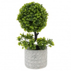 Цветочные композиции, деревья